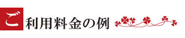 ご利用料金の例